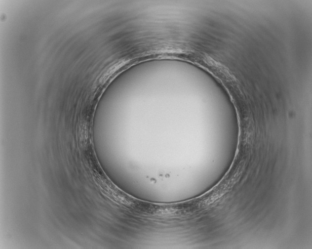 X0000060271169200511181412