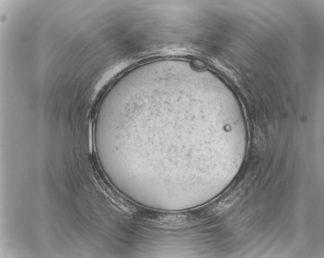 X0000060271171200511181412