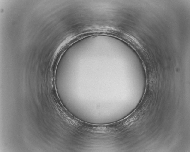 X0000060271172200511181412