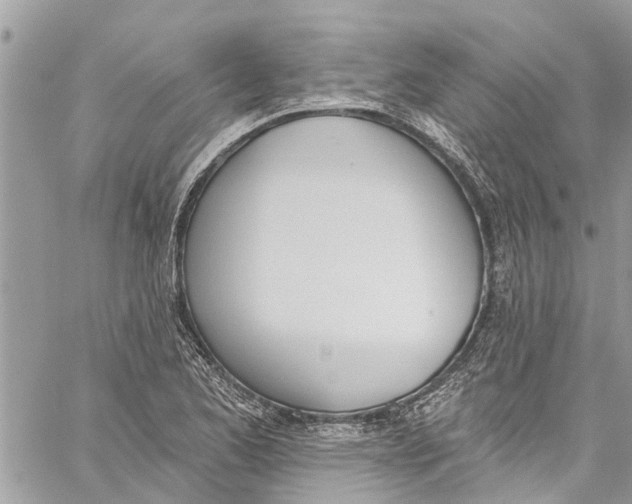 X0000060271173200511181412