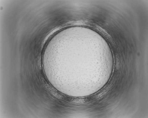 X0000060271174200511181412