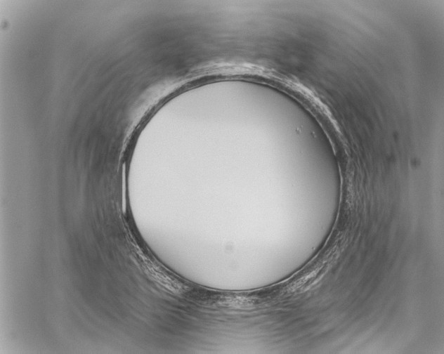 X0000060271175200511181412