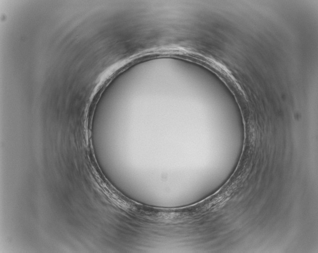 X0000060271176200511181412