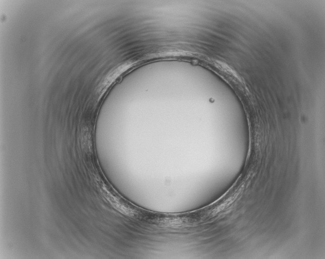 X0000060271177200511181412