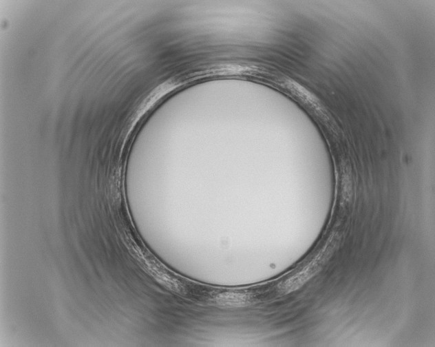 X0000060271178200511181412