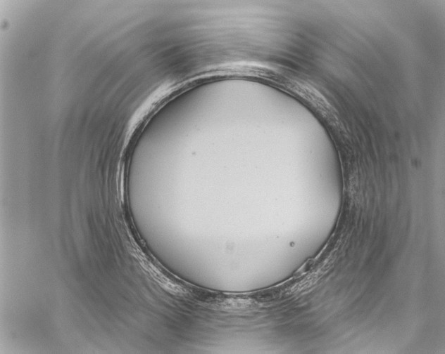 X0000060271180200511181412