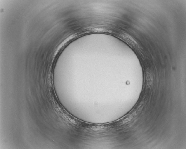 X0000060271182200511181412