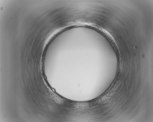 X0000060271183200511181412