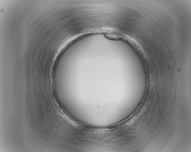 X0000060271184200511181412