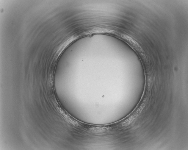 X0000060271185200511181412