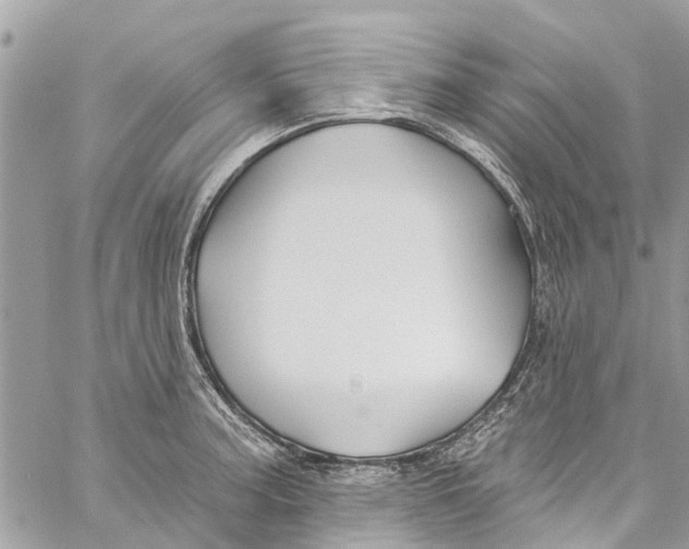 X0000060271187200511181412