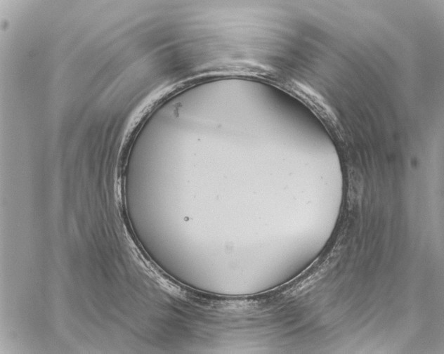 X0000060271188200511181412