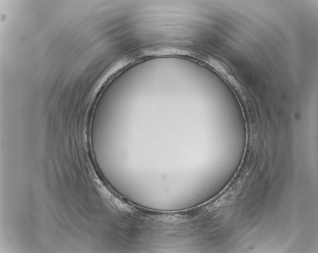 X0000060271189200511181412