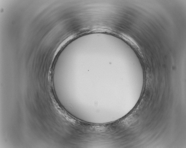 X0000060271190200511181412