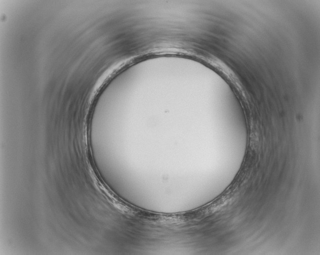 X0000060271191200511181412