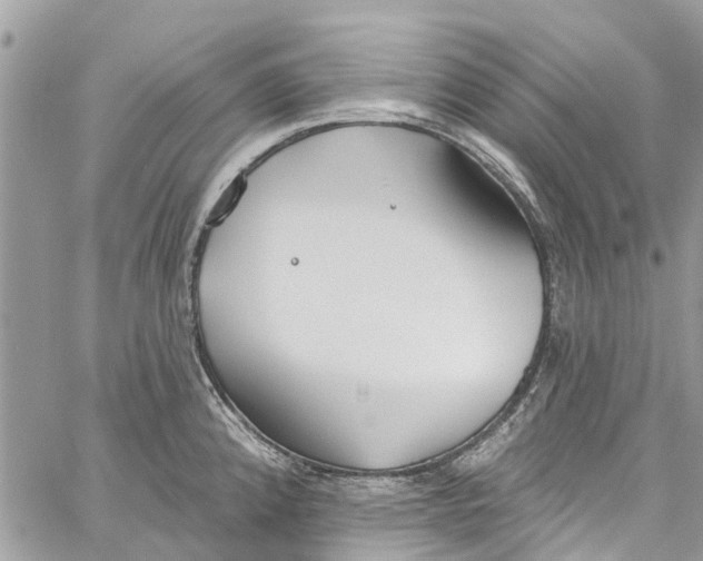 X0000060271192200511181411