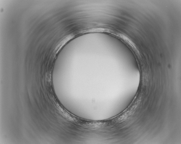 X0000060271193200511181411