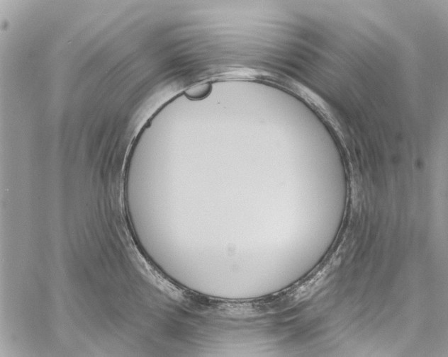 X0000060271194200511181411