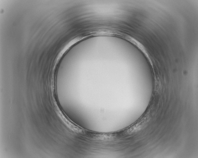 X0000060271195200511181411