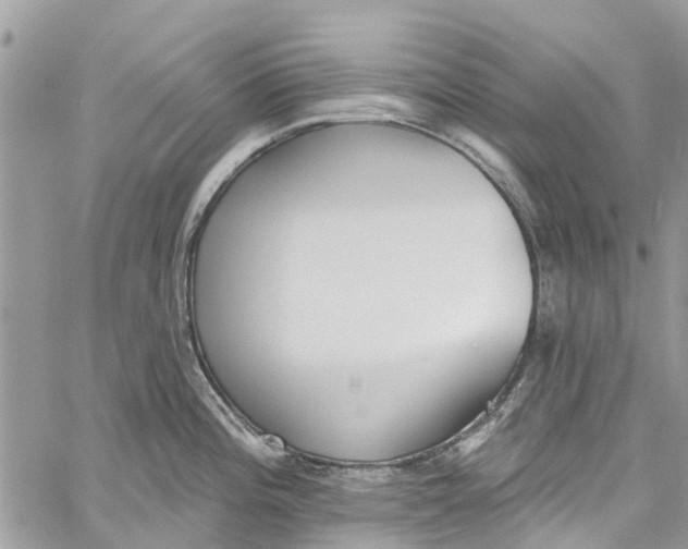 X0000060271196200511181411