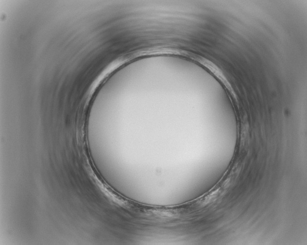 X0000060271197200511181411