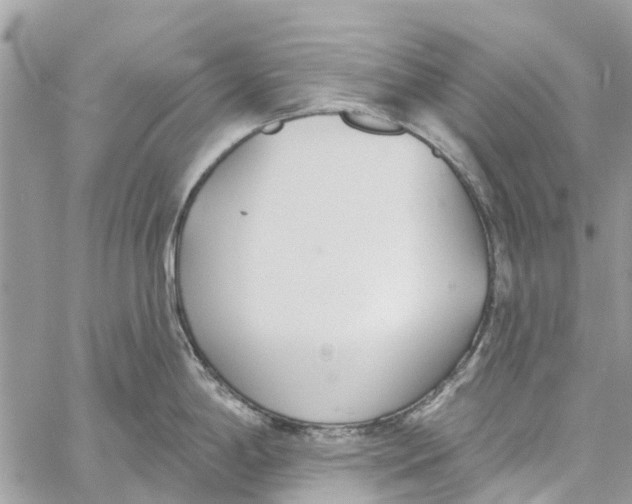 X0000060271198200511181411