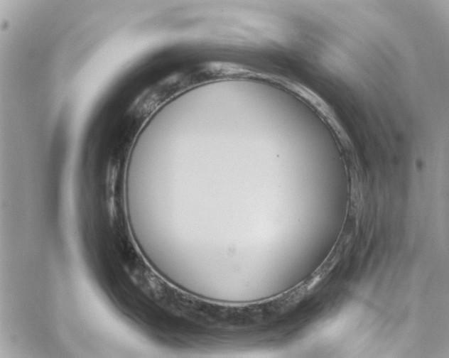 X0000060271199200511181411