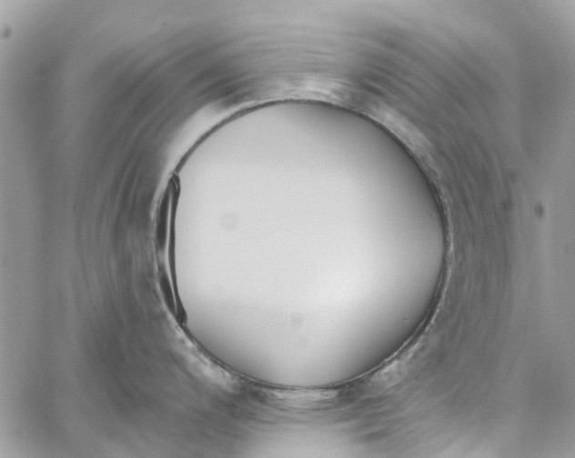 X0000060271200200511181411