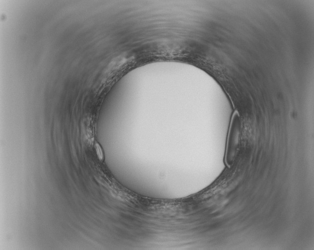 X0000060271202200511181411