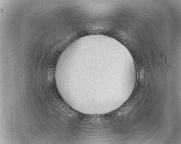 X0000060271204200511181411