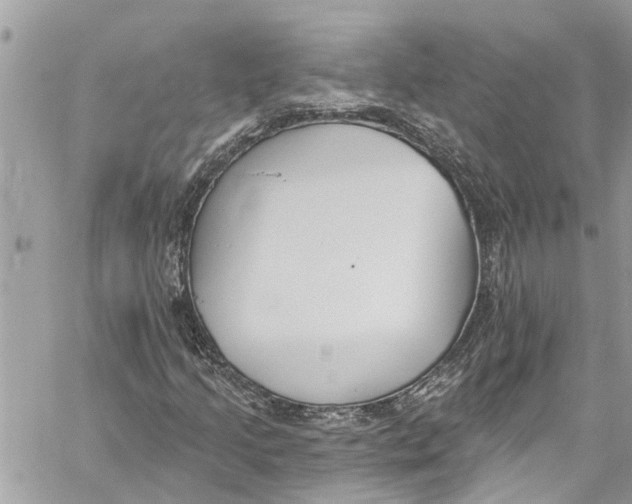 X0000060271205200511181411