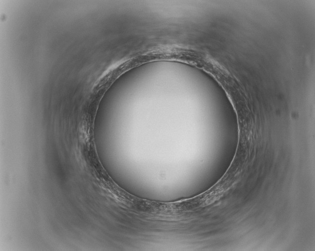 X0000060271206200511181411