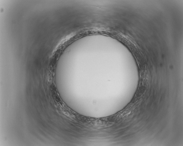 X0000060271207200511181411