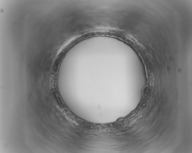 X0000060271208200511181411