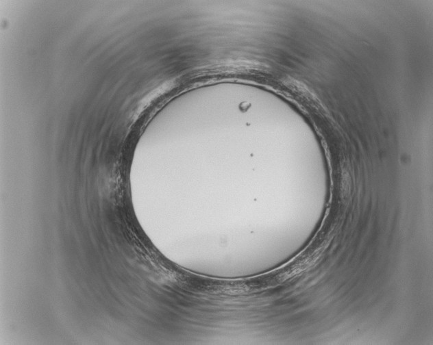 X0000060271210200511181411