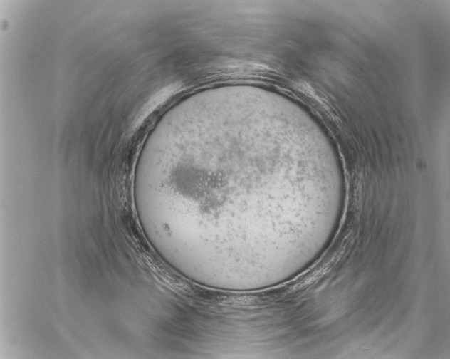 X0000060271211200511181411