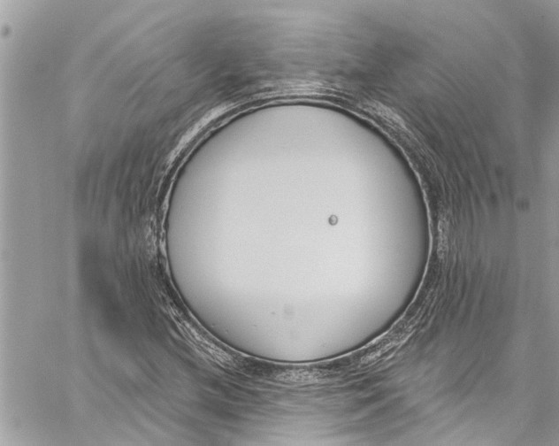 X0000060271212200511181411