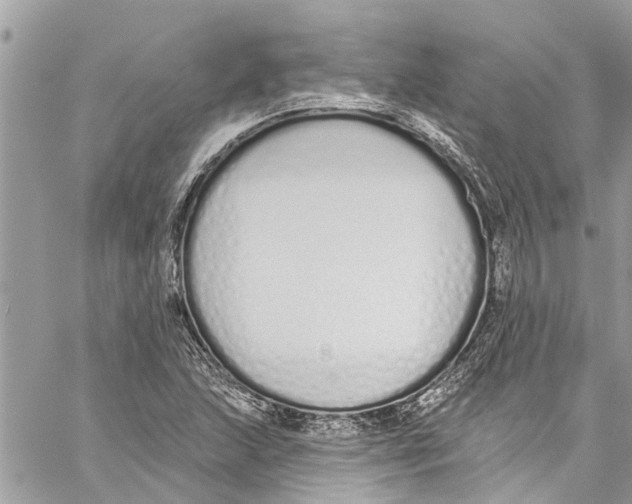 X0000060271215200511181411