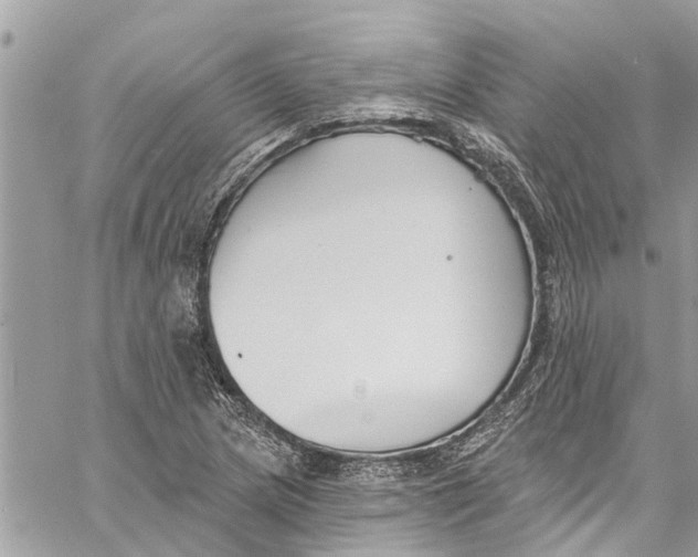 X0000060271217200511181411