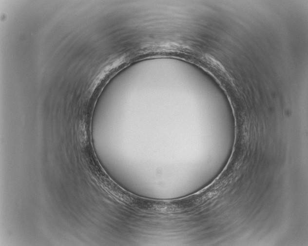 X0000060271218200511181411