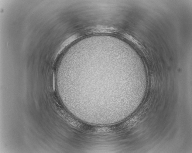 X0000060271219200511181411