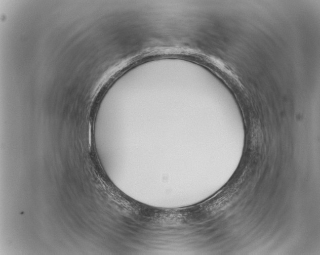 X0000060271221200511181411