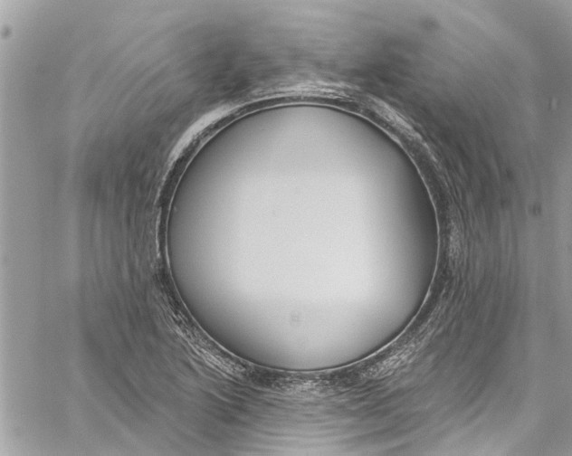 X0000060271222200511181411