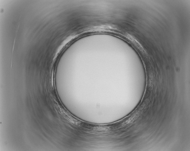 X0000060271224200511181411