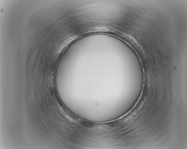 X0000060271225200511181411