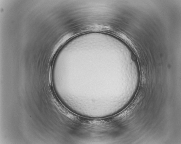 X0000060271227200511181411