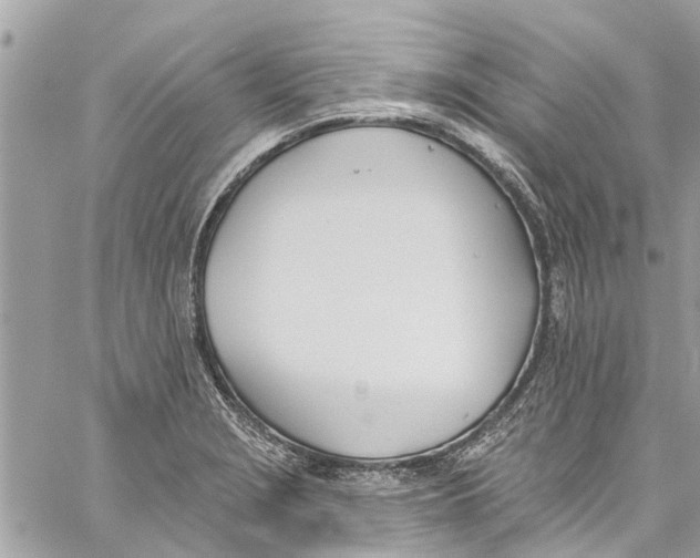 X0000060271229200511181411