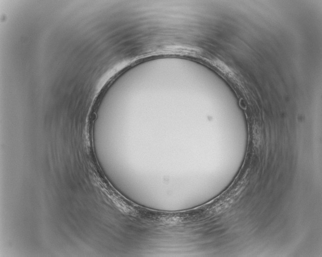 X0000060271230200511181411