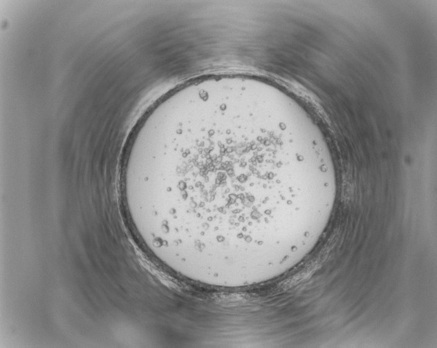 X0000060271231200511181411