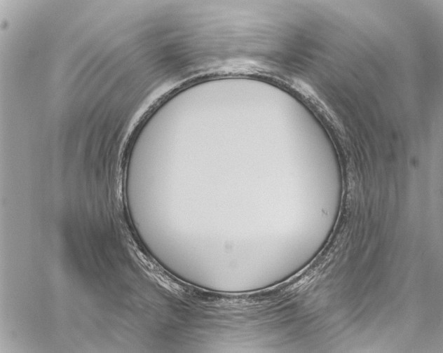 X0000060271232200511181411